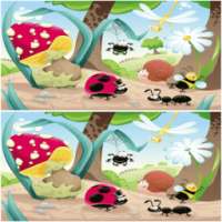 What's Missing? Differences