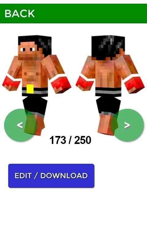 Skin Editor for Minecraft screenshot 3