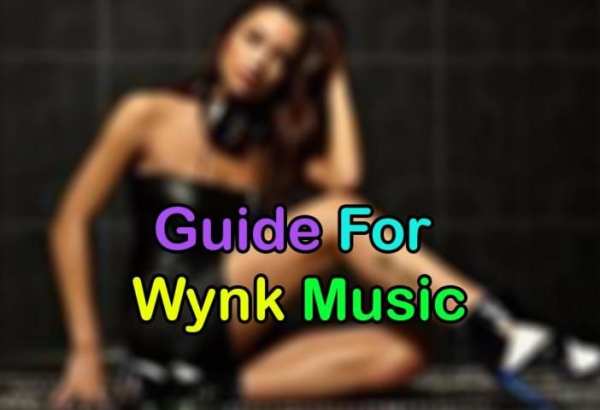 Hindi Songs - Wynk Music Tips screenshot 3