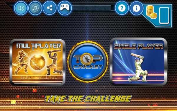 Top Cricket MultiPlayer 6 تصوير الشاشة
