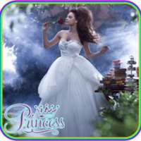 Princess Matching game أيقونة