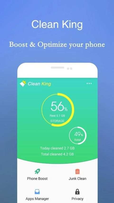 Clean King скриншот 5
