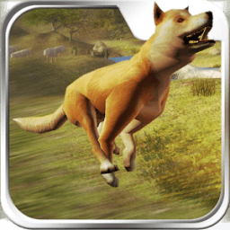 wild dog Survive icon