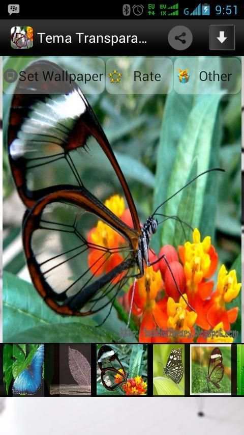 Tema Transparan Android 3 تصوير الشاشة