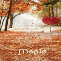 Teenlit Novel Free - Maple on 9Apps