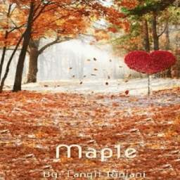 MAPLE 1.1