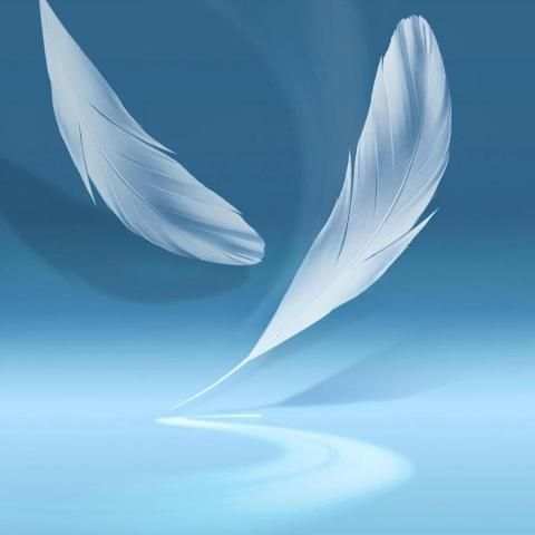 Galxy Note 3,5,7 & 8 wallpaper скриншот 7