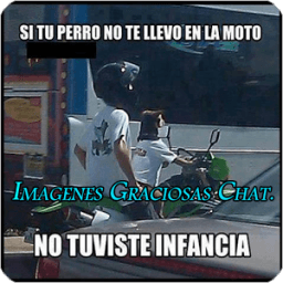 imagenes graciosas chat icon