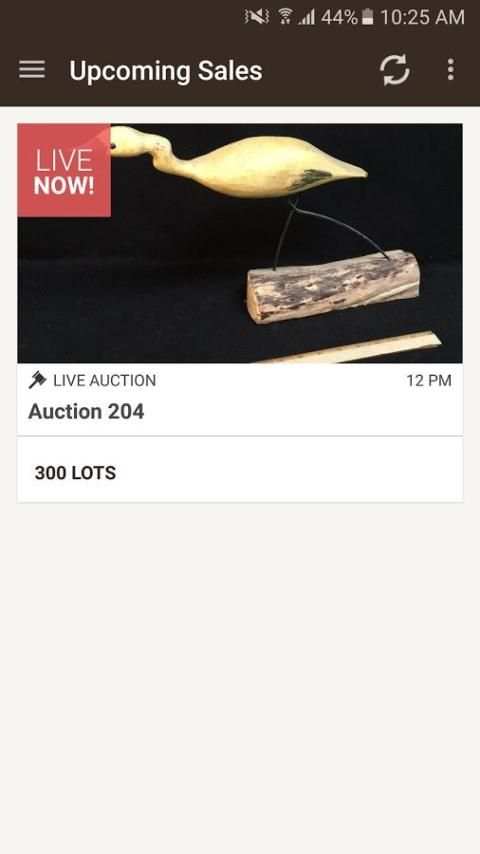 DeYoung Auctions 1 تصوير الشاشة