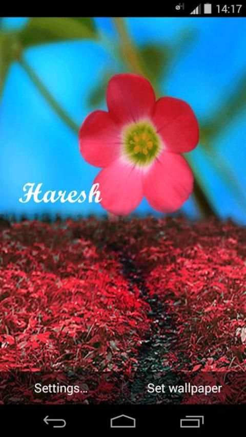 My Name Live Wallpaper स्क्रीनशॉट 1