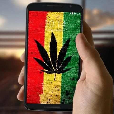 Rasta New Wallpaper 2 تصوير الشاشة