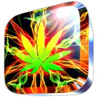 Rasta New Wallpaper иконка