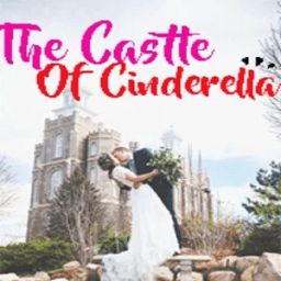 The Castle Of Cinderella أيقونة