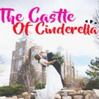 The Castle Of Cinderella on 9Apps