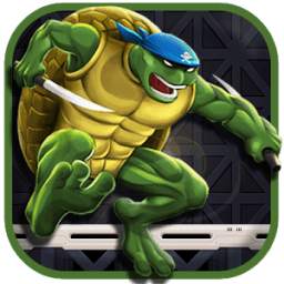 Turtle jumper ninja