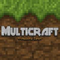 Multicraft Pro Edition