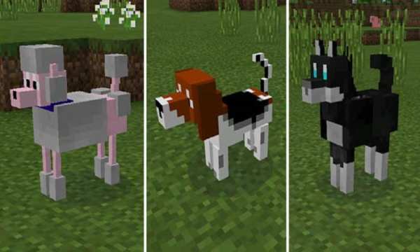 Dogs Mod скриншот 2