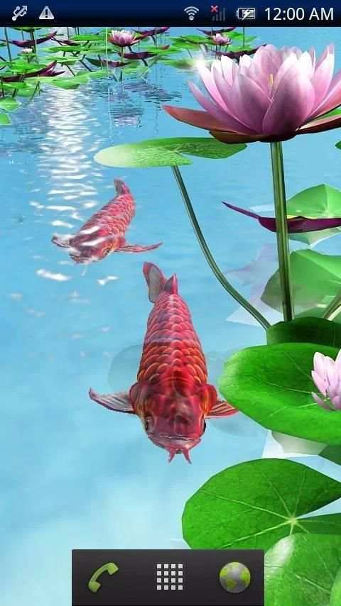 Arowana Paradise Trial screenshot 3