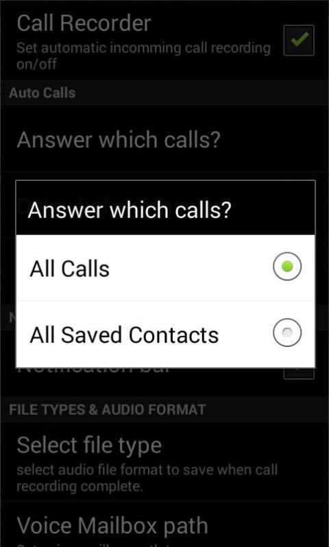 automatic call recorder pro screenshot 5