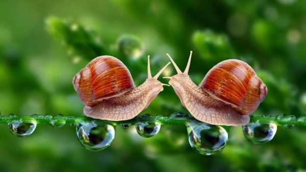 قطرة ماء स्क्रीनशॉट 6