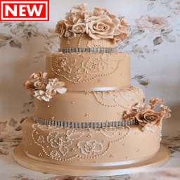 Cake Decorating Ideas 2017 आइकन