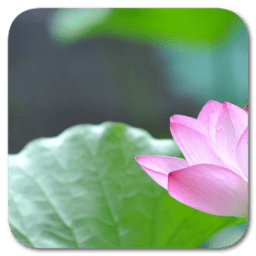 ikon G1 Ripple Locker