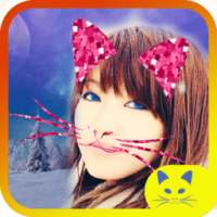 Cat Face оснастке Photo Filter on 9Apps