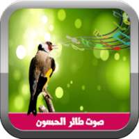 صوت طيور الحسون on 9Apps