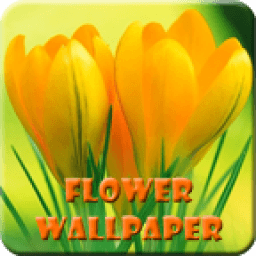 Flower Wallpaper HD Free أيقونة
