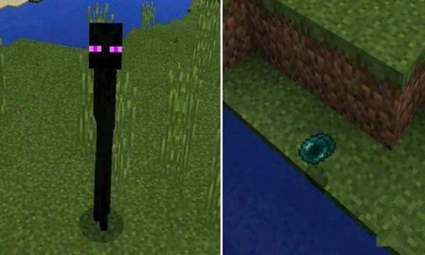 Endermites Mod for MCPE screenshot 3