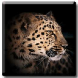 Leopard 3D 1.1