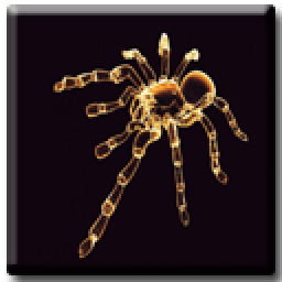 Spider 3D icon