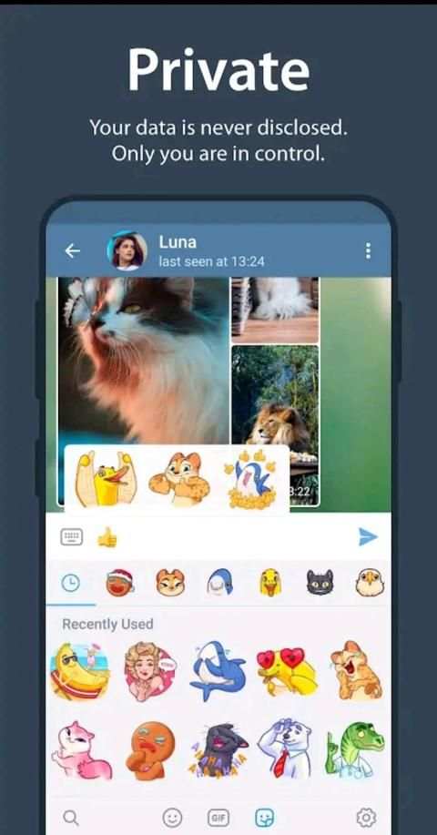 Telegrant Messenger स्क्रीनशॉट 3