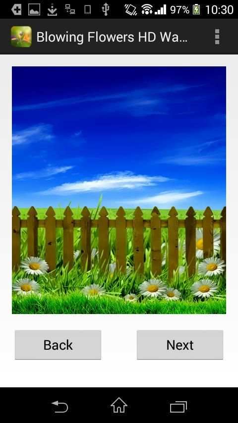 Flower Wallpaper for whatsapp скриншот 1