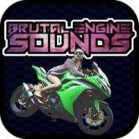 Engine sounds of Ninja