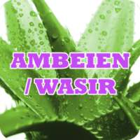 Obat Ambeien Wasir Tradisional