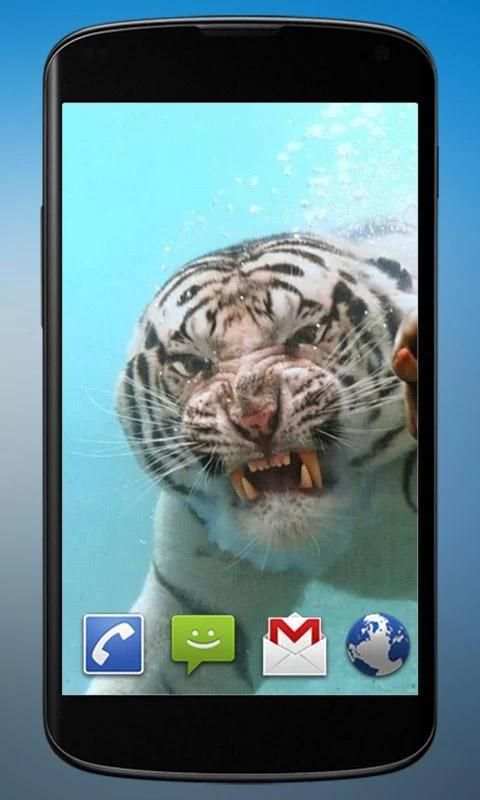Diving Tiger Live Wallpaper screenshot 5