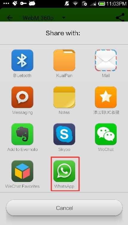 Videos For WhatsApp 2 تصوير الشاشة