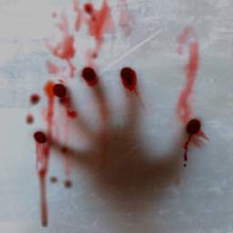 Zombie Day 1.2