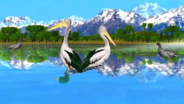 Bird Hunting Jungle Adventure screenshot 1