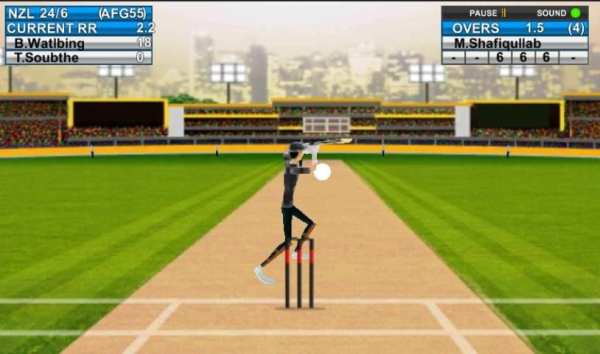 Domestic Cricket Tournament screenshot 4