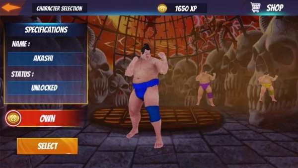 Sumo Wrestling Fight Arena स्क्रीनशॉट 1