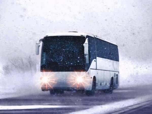 Offroad BUS Hill Driving 2017 screenshot 2
