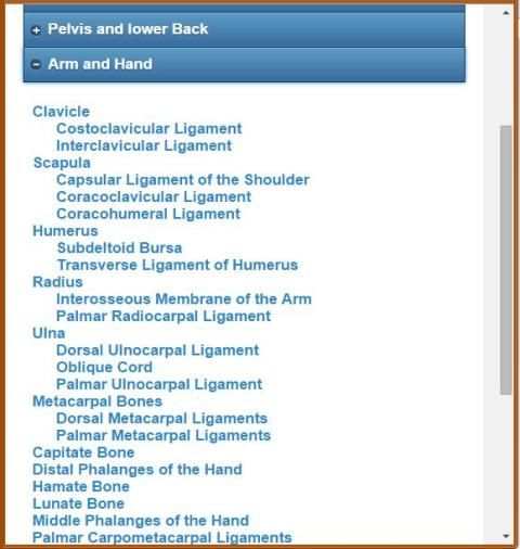 Skeletal System (Anatomy) 1 تصوير الشاشة