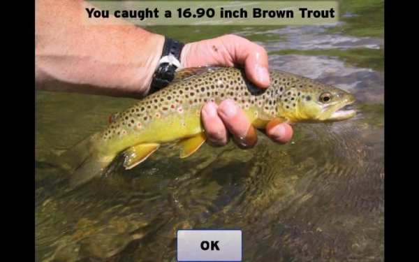 Fly Fishing Simulator 1 تصوير الشاشة