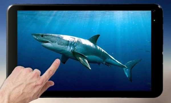 Shark Attack Live Wallpaper 1 تصوير الشاشة
