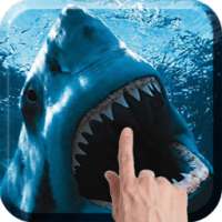 Shark Attack Live Wallpaper