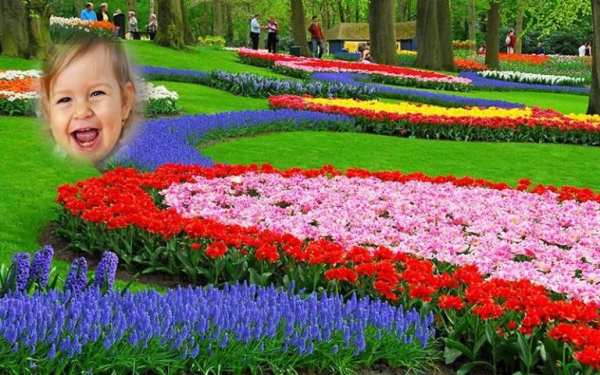 Memorable Flower Photo Frame скриншот 6
