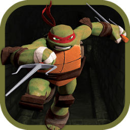 ikon Turtle Jumper Ninja