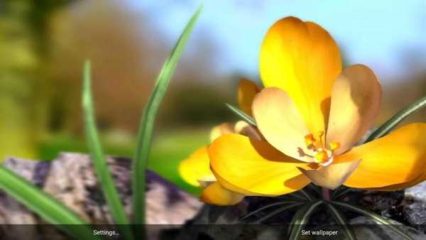 Nature Live❁ Spring Flowers 3D screenshot 2